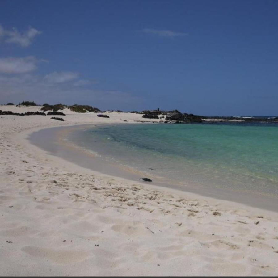 Apartamentos Albaula 5 Cotillo Eksteriør billede